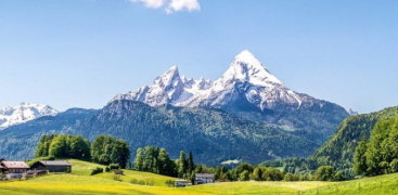 Portfolio lapas galva