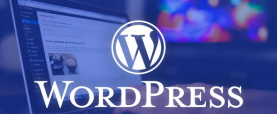 wordpress, mozello, joomla pieredze